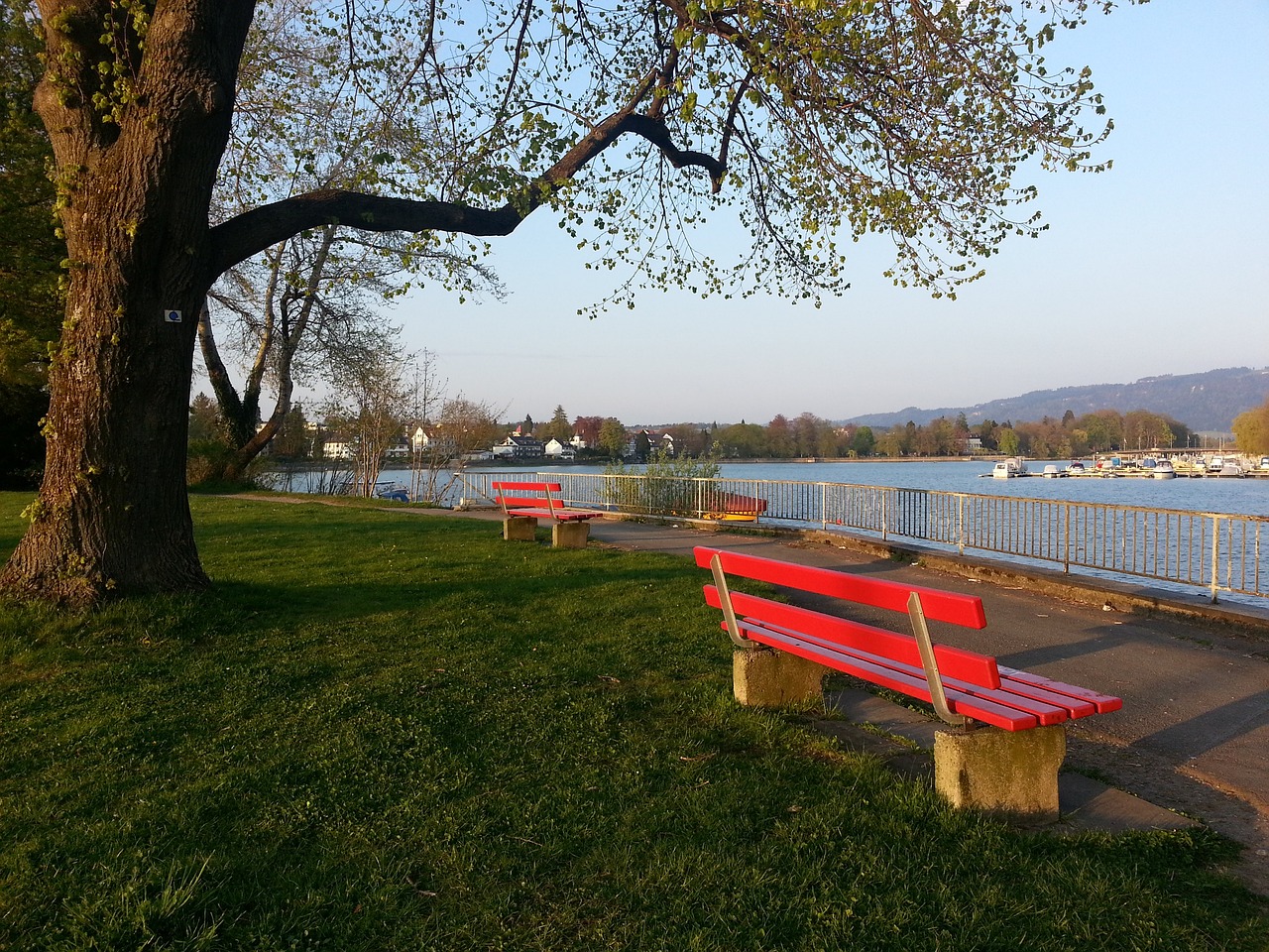 波兰主帅：我们已经很了解荷兰；目前仍然专注于附加赛